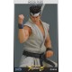 Virtua Fighter 5 Akira Yuki 12 inch Statue 28cm